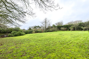 Photo 19- click for photo gallery